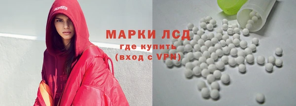 прущие грибы Нягань
