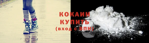 ешки Няндома