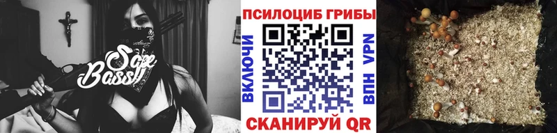 Псилоцибиновые грибы прущие грибы  хочу   Озёрск 