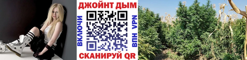 цена   blacksprut вход  Бошки марихуана Amnesia  Озёрск 
